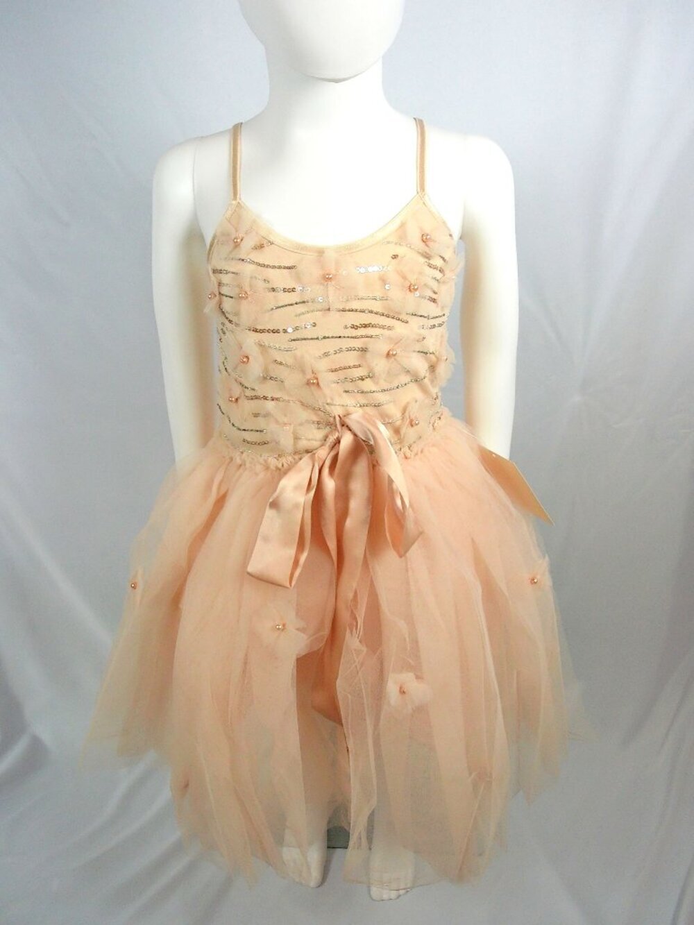 Tutu Du Monde Beautiful Bodice Dress